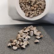 Bild 2: Genormte Körper für den Steinschlagtest auf einem Versuchsblech